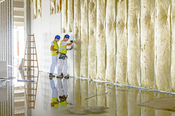 Best Soundproof Insulation Installation  in USA